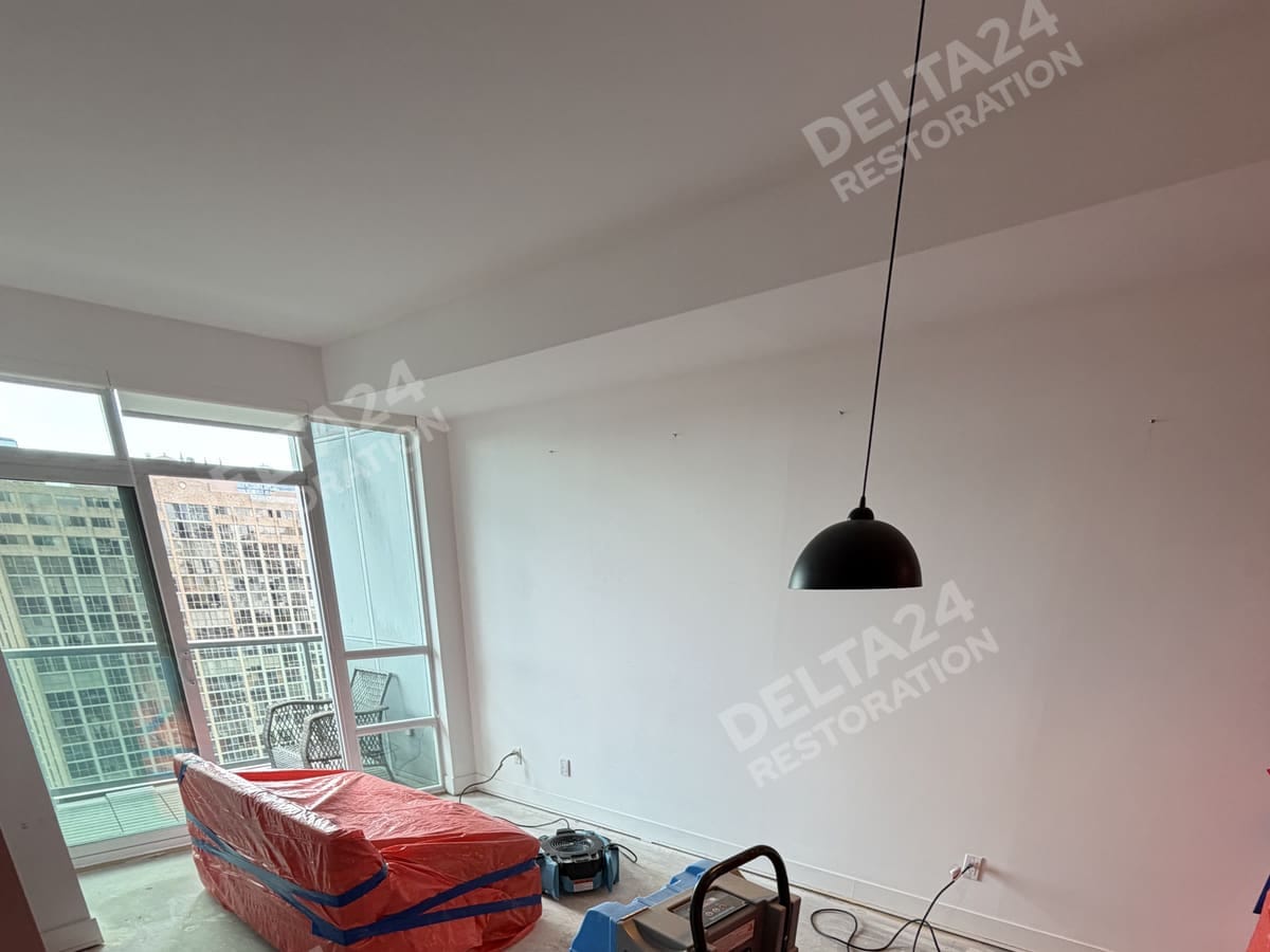 Dehumidifier and air movers in the main room