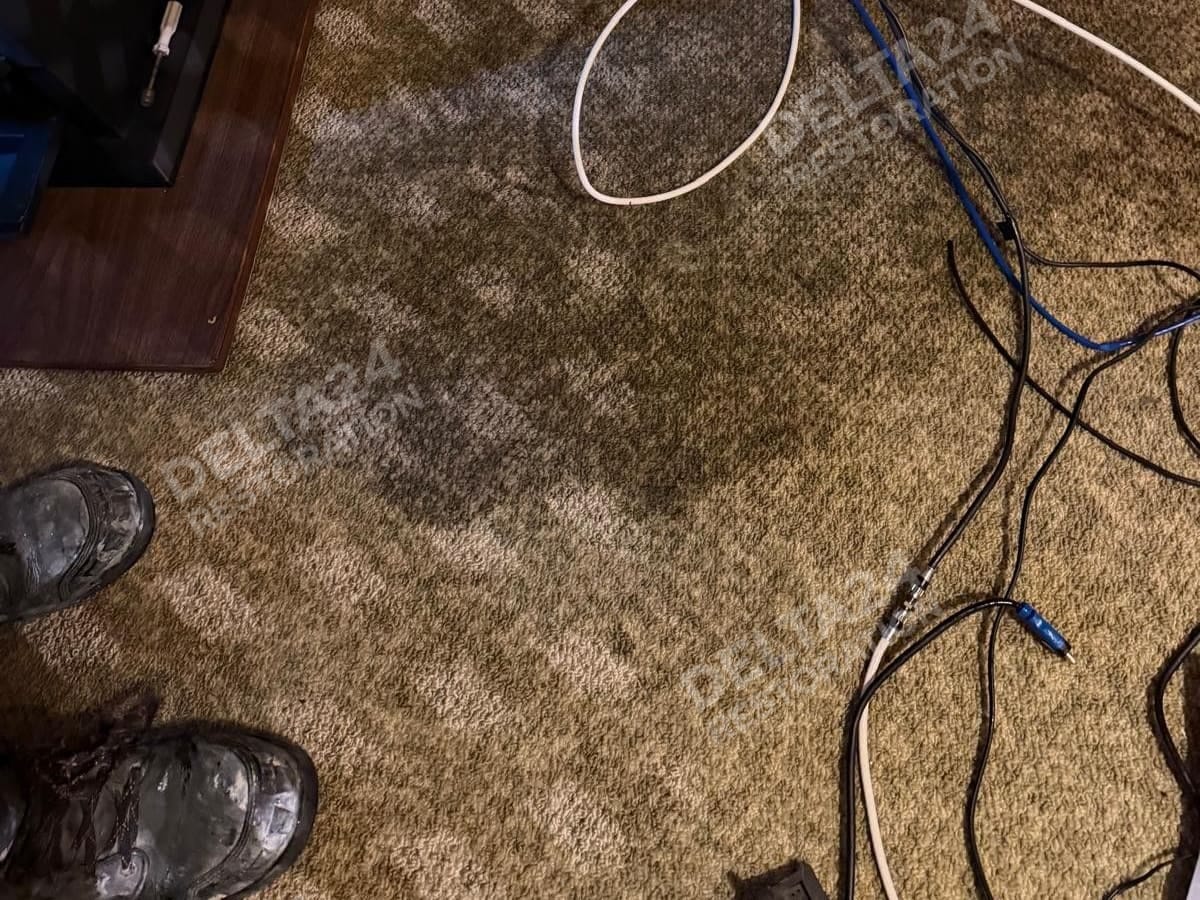 The carpet was wet right through, up to the panelled walls