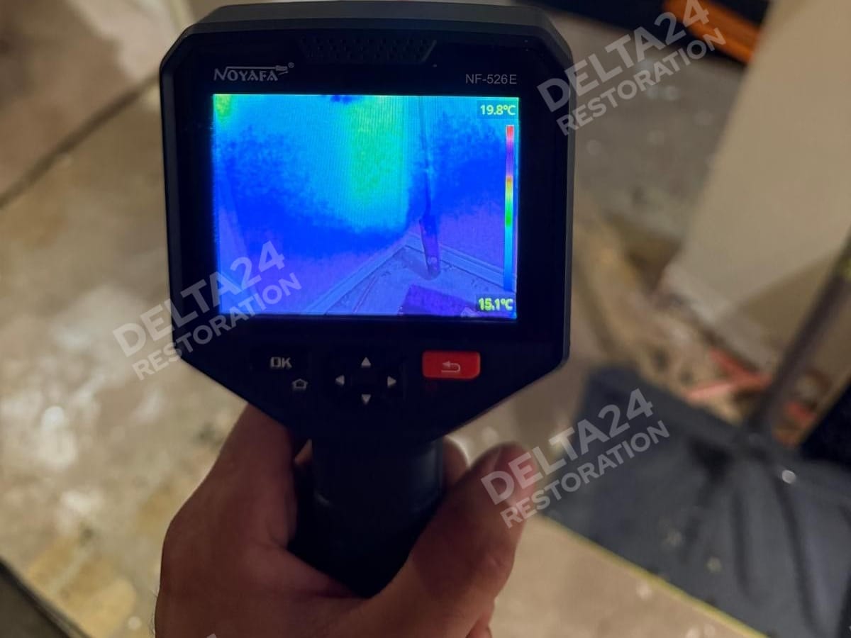 Mould Inspection & Testing