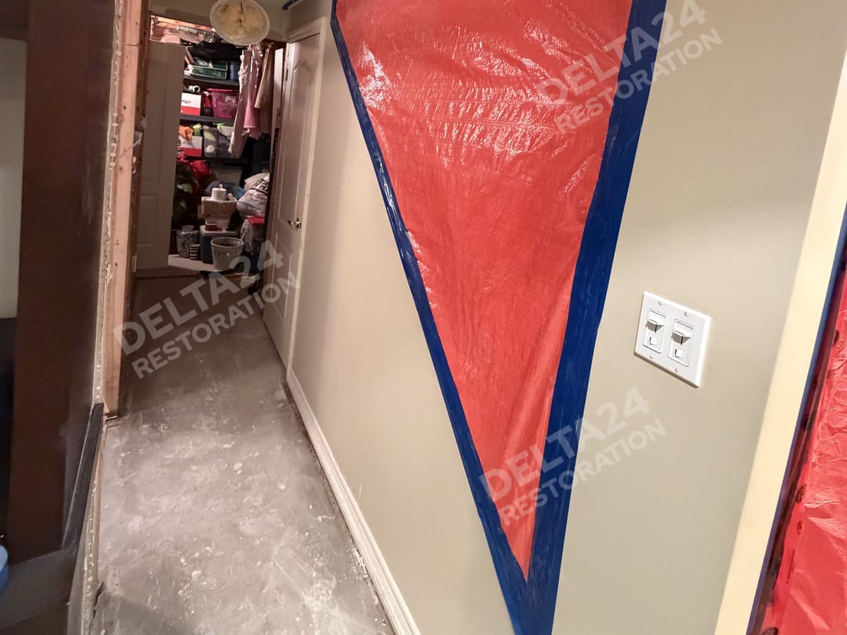 Mould Removal